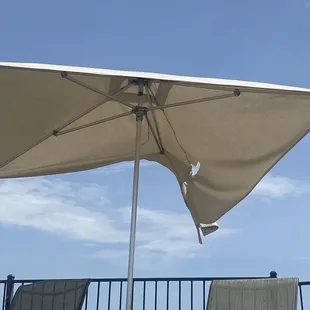 All but a couple pool umbrellas look like this.