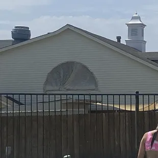 Tattered covering over the window all summer?