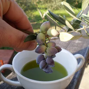 We import our olive oil from Greece.