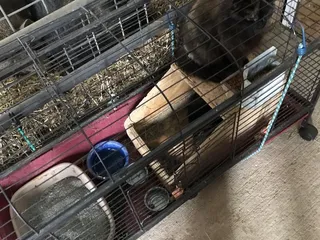 Busy Barns Adventure Farm