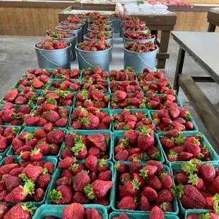 a table of strawberries