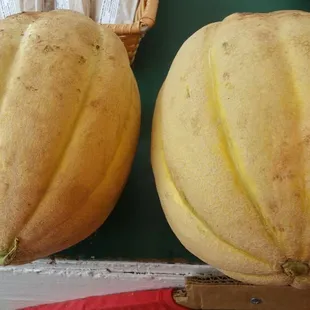 Homegrown canteloupes
