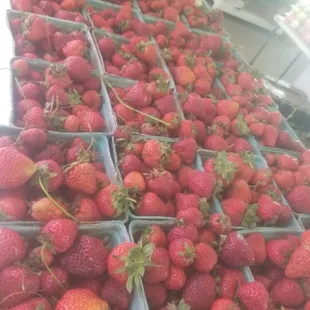 a large pile of strawberries