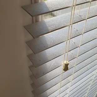 dusty, stained blinds