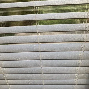 dusty blinds