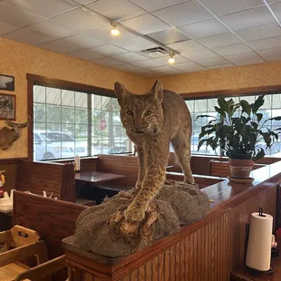 Souvenir all around restaurant