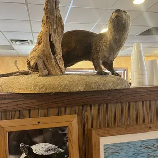 Otter