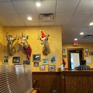 deer heads on the wall