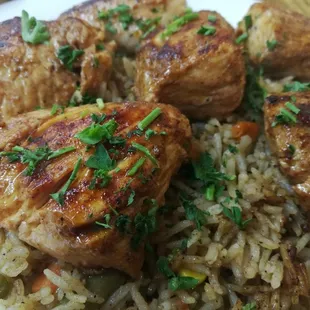 Chicken Shish Tawook. Amazing.