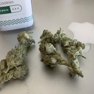 Twenty Percent Weed : High Content? LOL