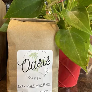 a bag of coffee next to a potted plant