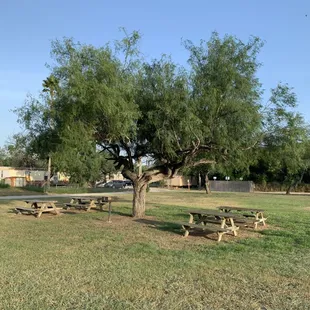 Lots of outdoor green space