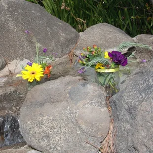 two vases of flowers on a rock wall