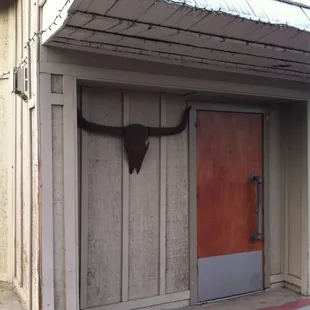 a cow skull on the side of a building
