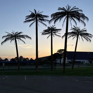 The Best Paradise Oasis Truck stop ever