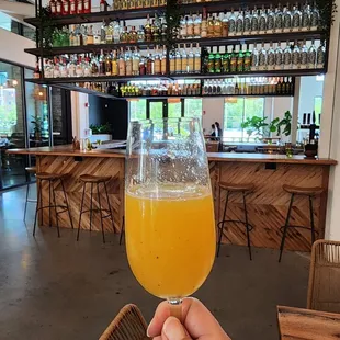 Mimosa