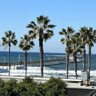 Ocean Beach Views