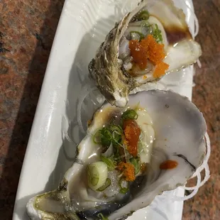 Oyster Shooters