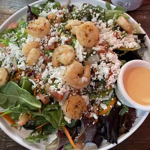 Shrimp tostada salad