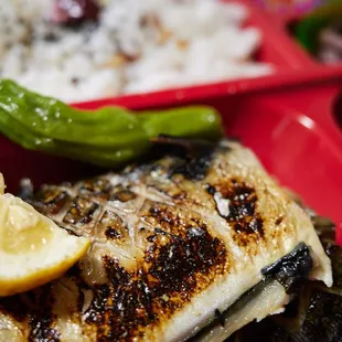 Saba bento