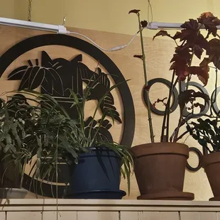 12/9/2023 - Dropping in for a spot of dinner.