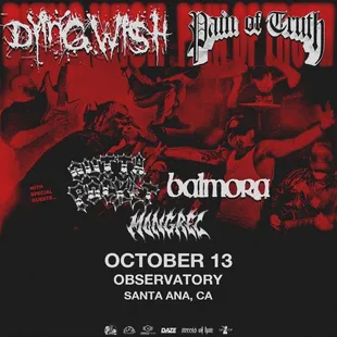 Tonight's entertainment!