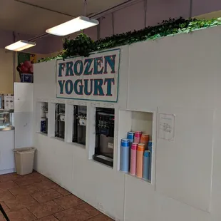 Frozen Yogurt