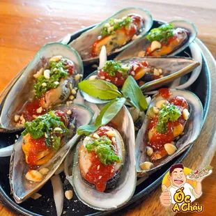 shellfish, oysters and mussels, food, oysters, mussels
