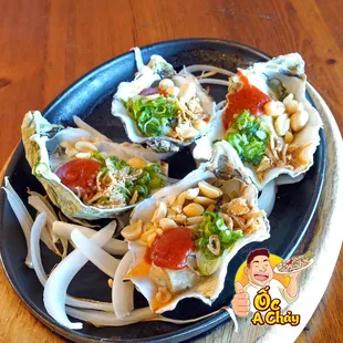 oysters and mussels, food