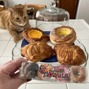 During this COVID shutdown, OC Baking Co is opened to the public, with pop up restaurants such as Crema Cafe and Mini Donuts