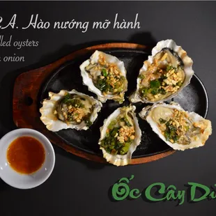 shellfish, food, mussels, oysters and mussels, oysters