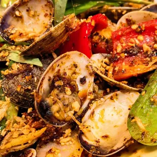 2022.08.19. Oc House