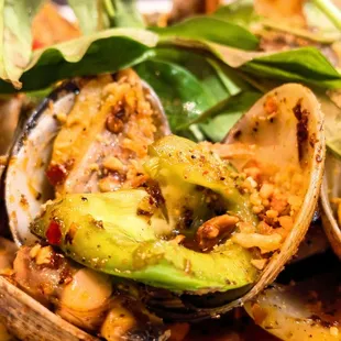 2022.08.19. Oc House