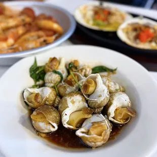 Ốc Hương Xào Bơ Tỏi: Stir-Fried Babylonia Snails in Garlic Butter | $15.99 (sauce was actually a lemongrass soy w/ viet coriander)