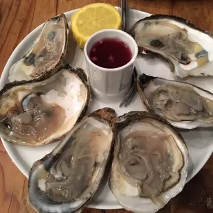 Oysters