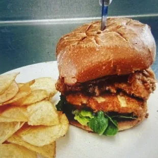 Delicious chicken sandwich!