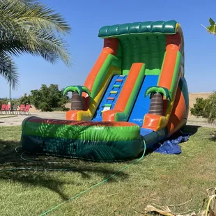 This is our 15 ft palm tree waterslide. Beautiful color way. Perfect for hot days and impressing guests. A taste of paradise.