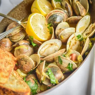 food, pasta, pasta dish