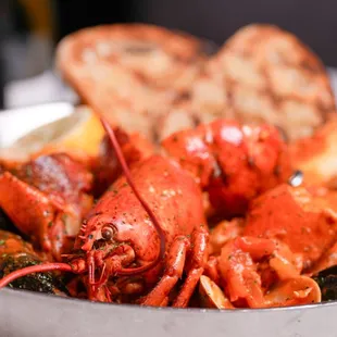Close up view of Ocean 48&apos;s Maine Lobster