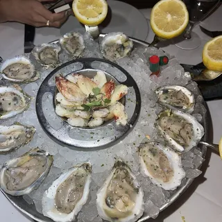 Daily Fresh Oysters* **