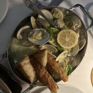 Little Neck Clams