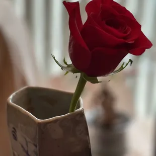 What a sweet parting gift, will definitely be back...