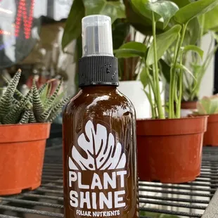 Plant shine