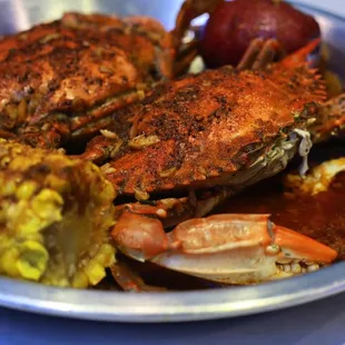 Blue Crab