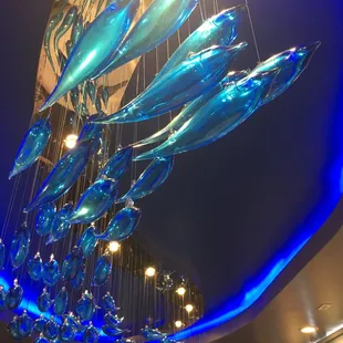 A school of fish in the private party room.