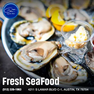 Fresh and oh-so-delicious--our oysters are a must-try!
Enjoy the perfect ocean taste with a squeeze of lemon.