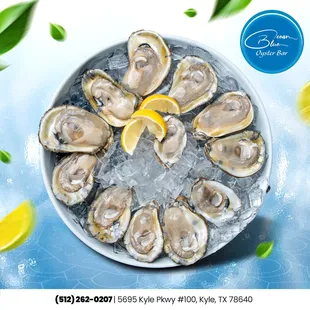 Seafood Lovers, Get Ready! 
 Ocean Blue Oyster Bar Kyle is coming soon!
Fresh oysters, vibrant dishes, and good vibes await you.