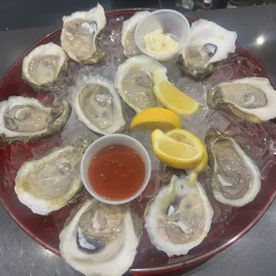 Raw oysters on half shell