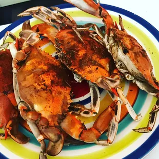 Blue crab!