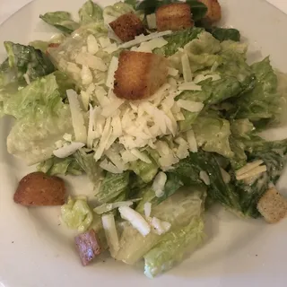 Classic OB Caesar